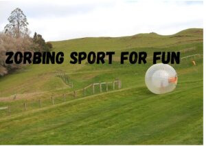 what is zorbing