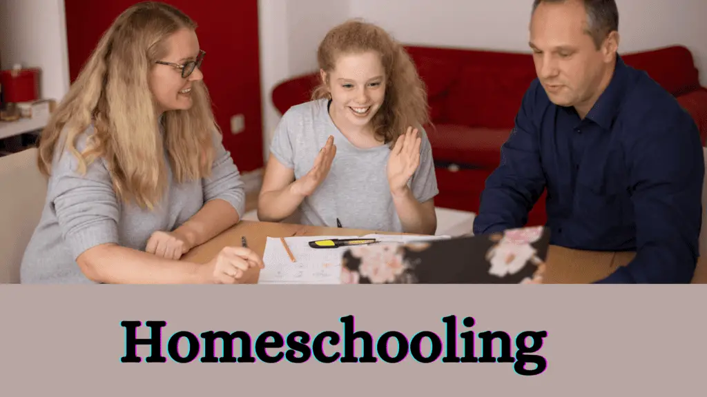 how to convince your parents to homeschool you